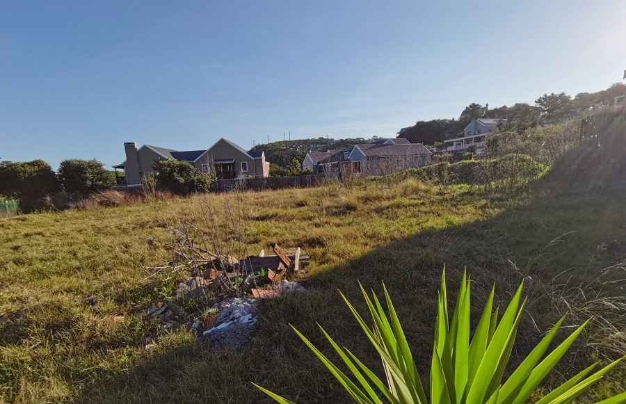 0 Bedroom Property for Sale in Green Pastures Western Cape